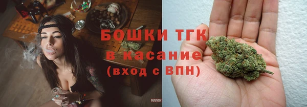 прущие грибы Покров