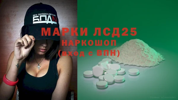 прущие грибы Покров