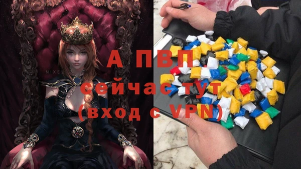 мескалин Покачи