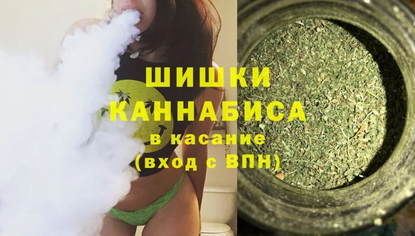прущие грибы Покров