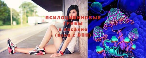прущие грибы Покров