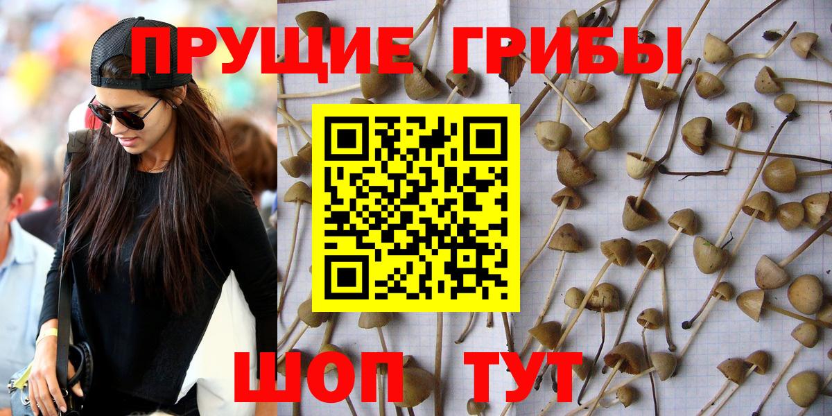 Псилоцибиновые грибы прущие грибы Краснокаменск