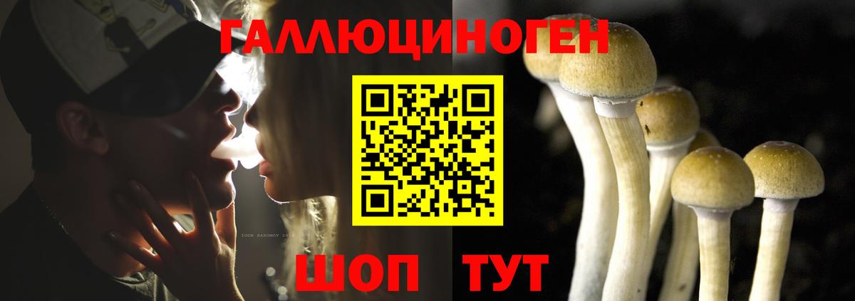 Краснокаменск  Галлюциногенные грибы ЛСД  Вход с VPN 
