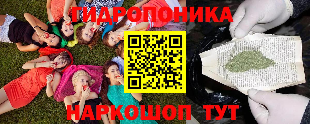 Марихуана гибрид  Марихуана сатива  Краснокаменск  Каннабис AK-47  Вход с VPN 